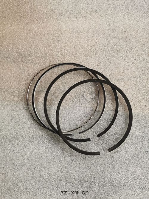 卡特活(huó)塞(sāi)環